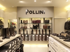 Pollini